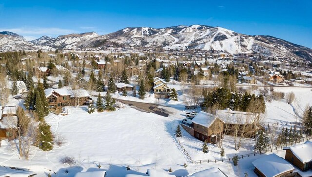 1455 Storm Peak Ln, Steamboat Springs, CO 80487 - photo 15
