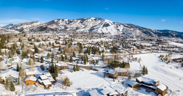 1455 Storm Peak Ln, Steamboat Springs, CO 80487 - photo 11