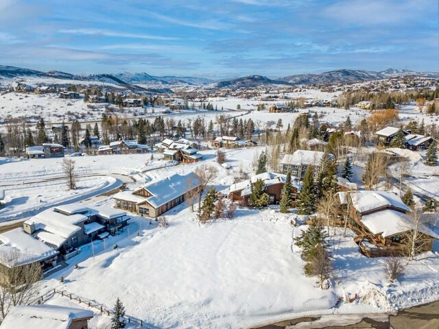 1455 Storm Peak Ln, Steamboat Springs, CO 80487 - photo 12