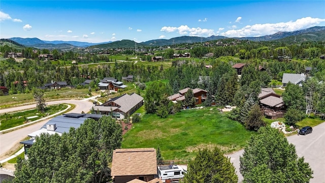 1455 Storm Peak Ln, Steamboat Springs, CO 80487 - photo 5