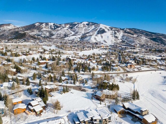 1455 Storm Peak Ln, Steamboat Springs, CO 80487 - photo 18
