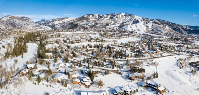 1455 Storm Peak Ln, Steamboat Springs, CO 80487 - photo 16
