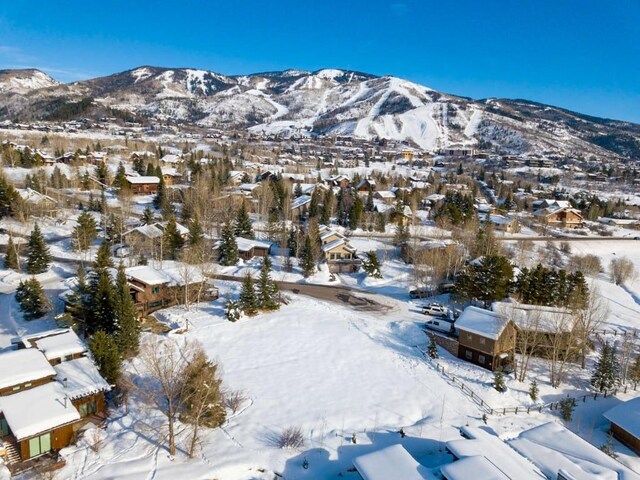 1455 Storm Peak Ln, Steamboat Springs, CO 80487 - photo 19