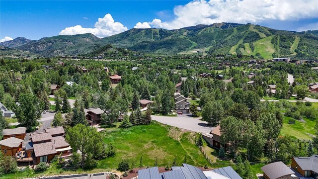 1455 Storm Peak Ln, Steamboat Springs, CO 80487 - photo 7