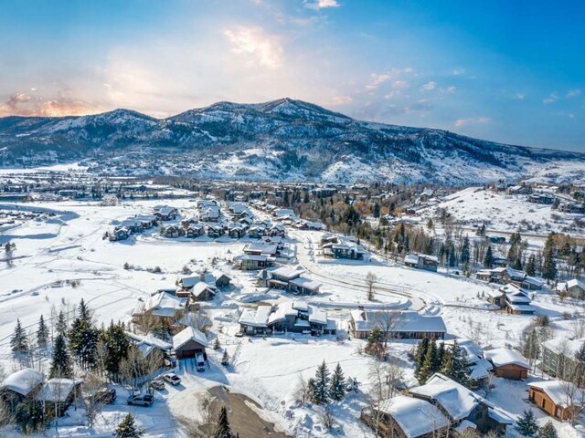 1455 Storm Peak Ln, Steamboat Springs, CO 80487 - photo 17