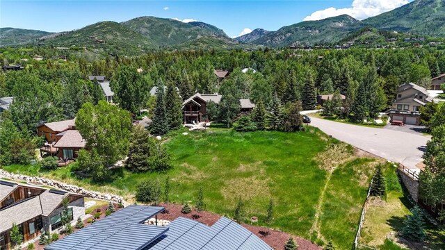 1455 Storm Peak Ln, Steamboat Springs, CO 80487 - photo 2