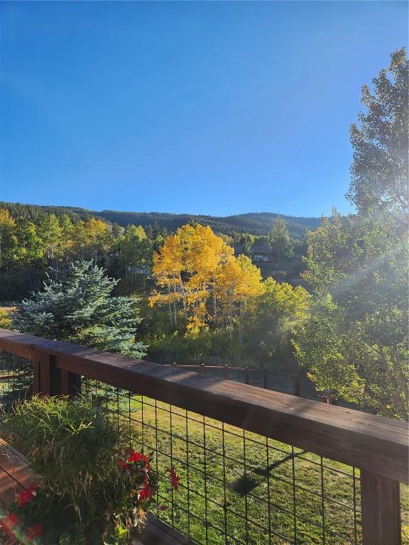22755 Snowbird Trl, Oak Creek, CO 80467 - mountain view with a forest