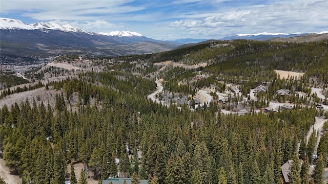3362 Boreas Pass Rd, Breckenridge, CO 80424