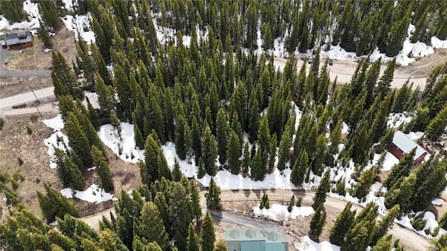 3362 Boreas Pass Rd, Breckenridge, CO 80424