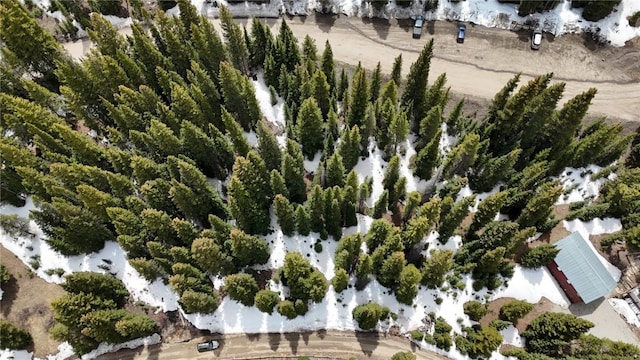 3362 Boreas Pass Rd, Breckenridge, CO 80424