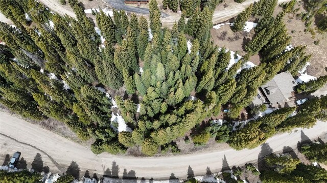 3362 Boreas Pass Rd, Breckenridge, CO 80424