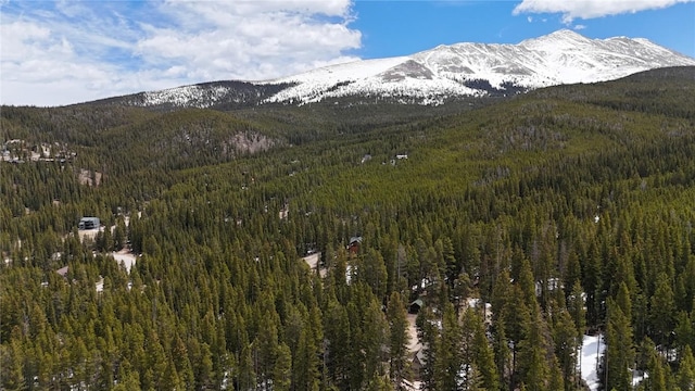 3362 Boreas Pass Rd, Breckenridge, CO 80424