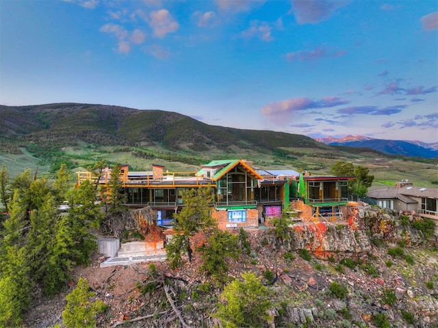 303 High Meadow Dr, Dillon, CO 80435 - photo 31