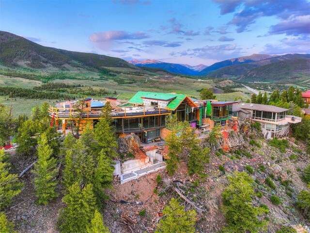 303 High Meadow Dr, Dillon, CO 80435 - photo 32