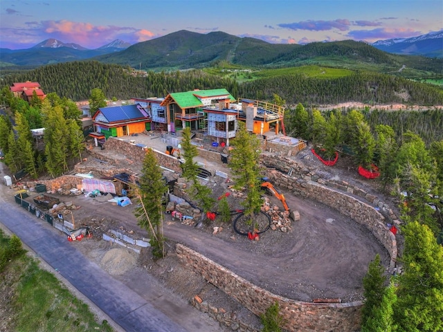 303 High Meadow Dr, Dillon, CO 80435 - photo 2