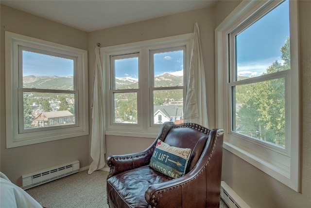 200 N Ridge St R-B, Unit R-B Breckenridge, CO 80424 - photo 14