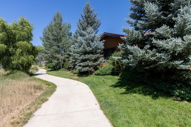 500 Anglers Dr Unit 201, Steamboat Springs, CO 80487 - photo 38