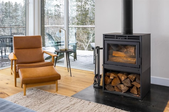 21185 County Road 16, Oak Creek, CO 80467 - living area with a healthy amount of sunlight, a wood stove, and wood finished floors