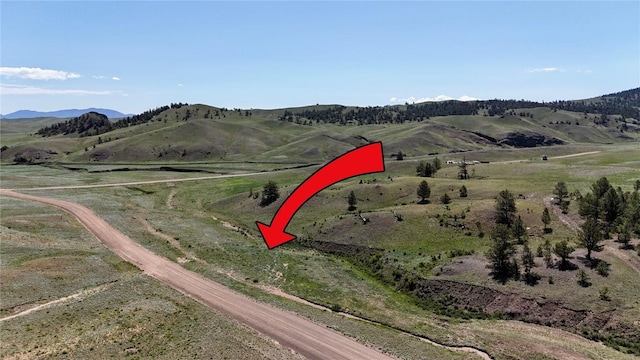 2174 Cahokia Rd, Hartsel, CO 80449 - photo 2