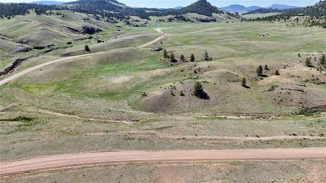 2174 Cahokia Rd, Hartsel, CO 80449 - photo 4