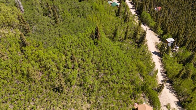 1255 Quartzville Rd, Alma, CO 80440 - photo 6
