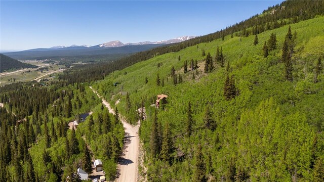 1255 Quartzville Rd, Alma, CO 80440 - photo 5