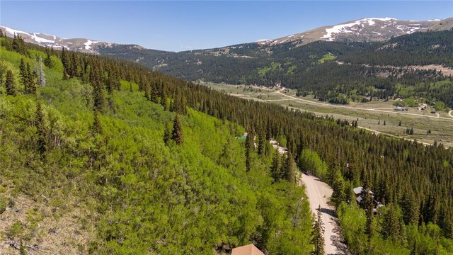 1255 Quartzville Rd, Alma, CO 80440 - photo 10