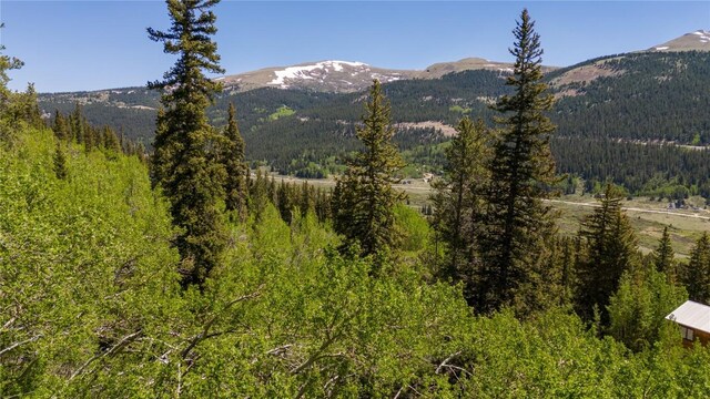1255 Quartzville Rd, Alma, CO 80440 - photo 8