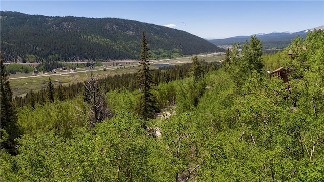 1255 Quartzville Rd, Alma, CO 80440 - photo 9
