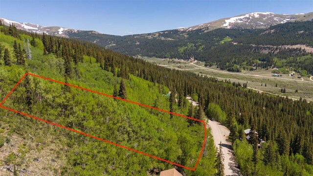 1255 Quartzville Rd, Alma, CO 80440 - photo 1