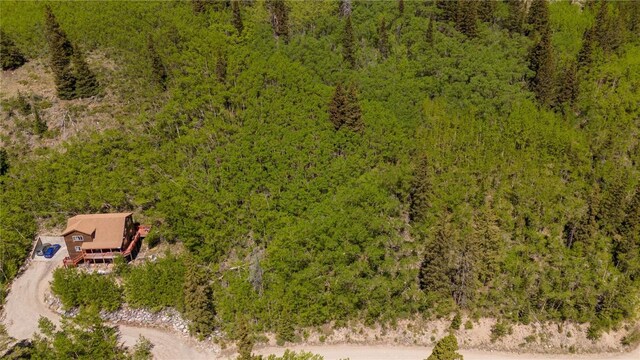 1255 Quartzville Rd, Alma, CO 80440 - photo 7