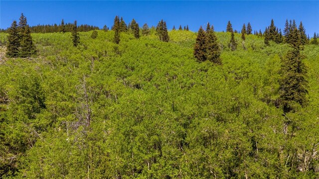 1255 Quartzville Rd, Alma, CO 80440 - photo 3