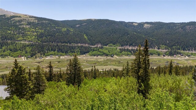 1255 Quartzville Rd, Alma, CO 80440 - photo 4