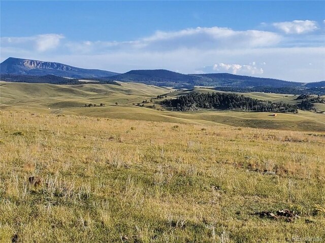 0 Uwon Rd, Hartsel, CO 80449 - photo 9