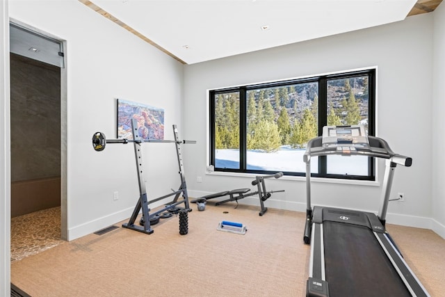 403 Revett Dr, Breckenridge, CO 80424 - workout area featuring carpet
