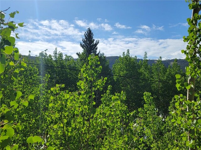 1191 Quartzville Rd, Alma, CO 80420 - photo 24