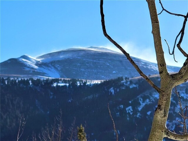 1191 Quartzville Rd, Alma, CO 80420 - photo 3