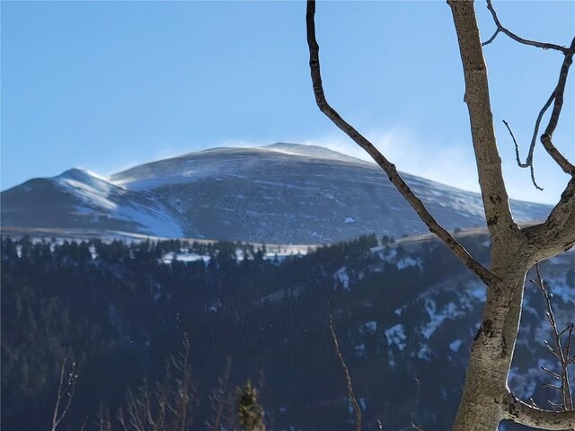 1191 Quartzville Rd, Alma, CO 80420 - photo 30