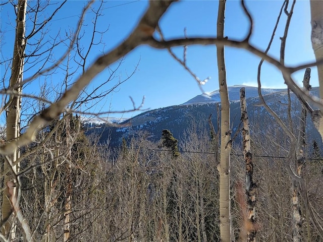 1191 Quartzville Rd, Alma, CO 80420