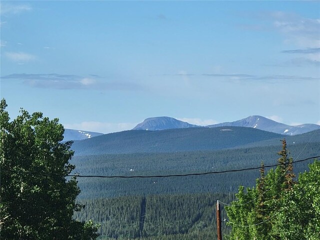 1191 Quartzville Rd, Alma, CO 80420 - photo 39