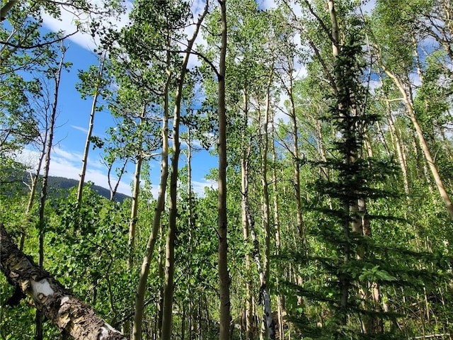 1191 Quartzville Rd, Alma, CO 80420