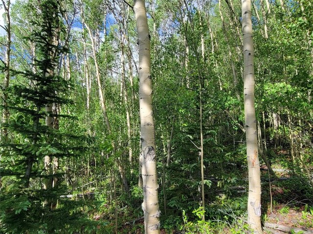 1191 Quartzville Rd, Alma, CO 80420 - photo 7