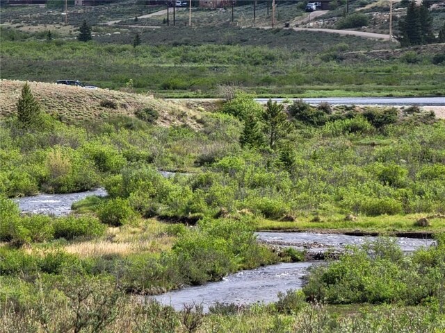 1191 Quartzville Rd, Alma, CO 80420 - photo 8