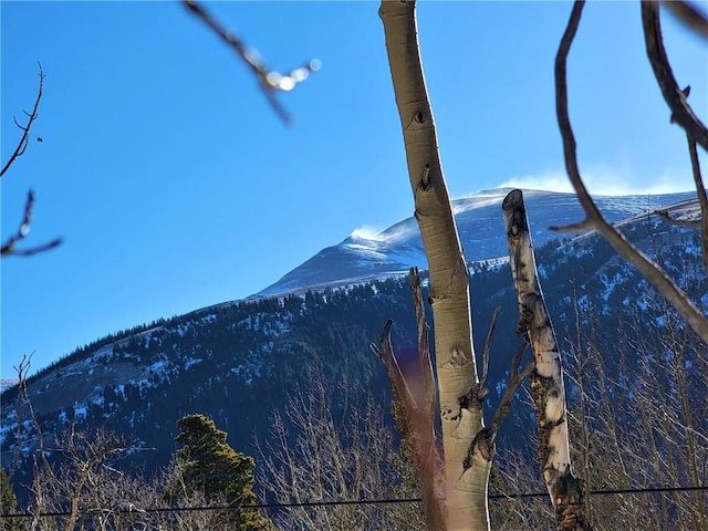 1191 Quartzville Rd, Alma, CO 80420