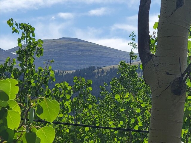 1191 Quartzville Rd, Alma, CO 80420 - photo 1
