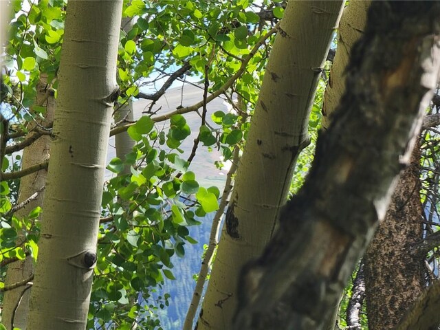 1191 Quartzville Rd, Alma, CO 80420 - photo 17