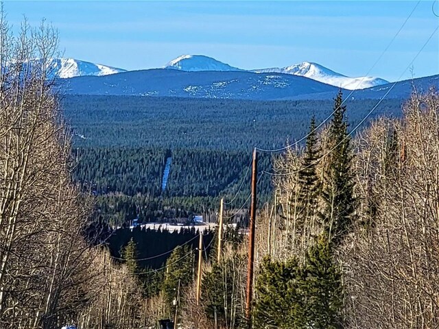 1191 Quartzville Rd, Alma, CO 80420 - photo 28