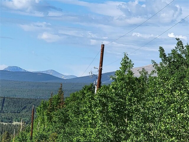 1191 Quartzville Rd, Alma, CO 80420 - photo 47