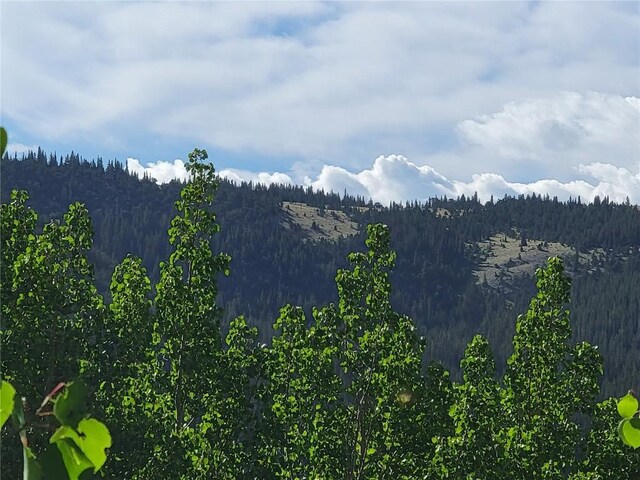 1191 Quartzville Rd, Alma, CO 80420 - photo 36