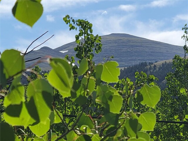 1191 Quartzville Rd, Alma, CO 80420 - photo 6